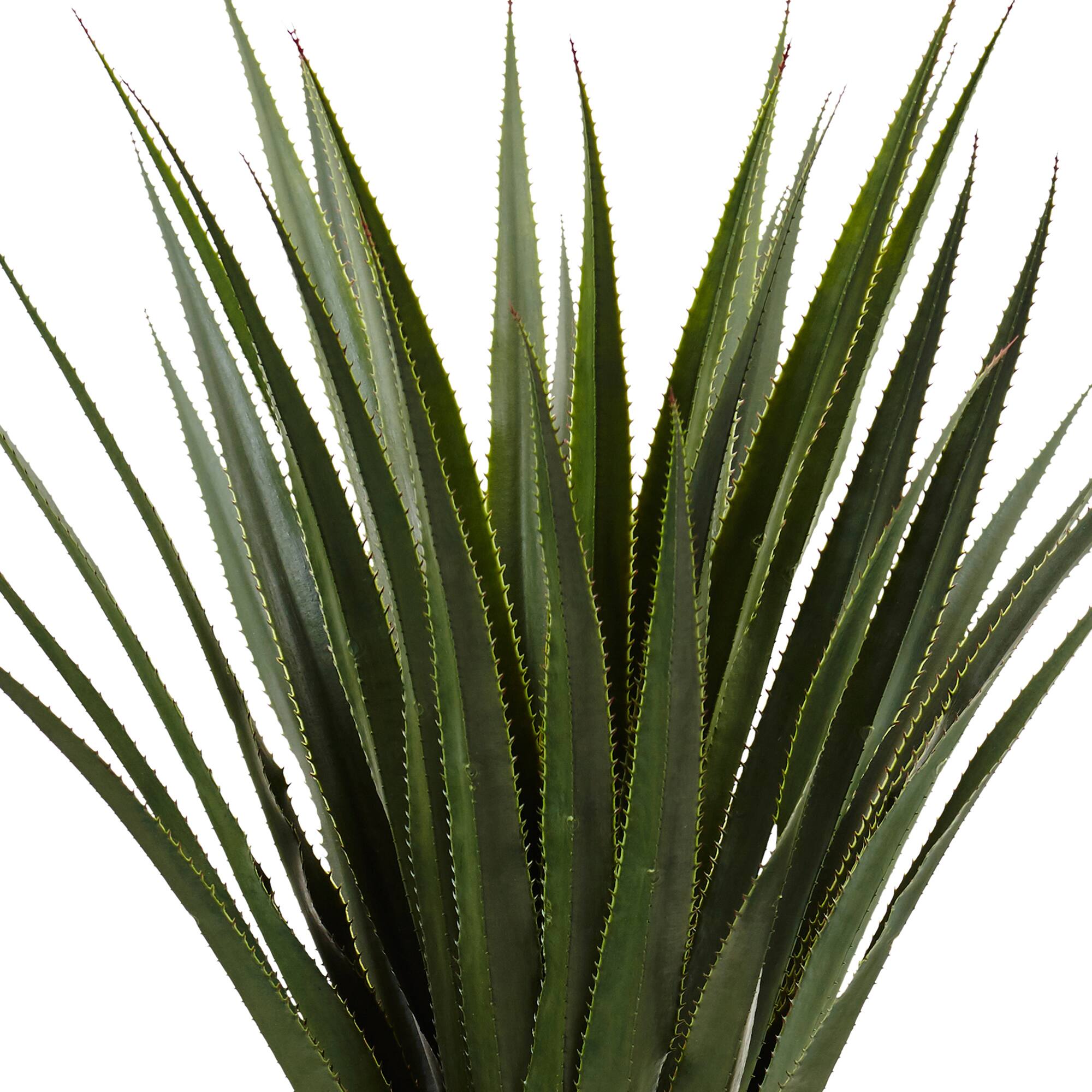 4.5ft. Spiked Agave Plant In Black Planter